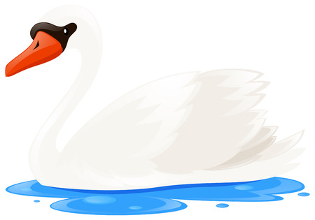 White swan in the pool illustrationのイラスト素材