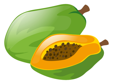 Fresh papaya on white background illustrationのイラスト素材