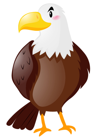 Wild eagle on white background illustrationのイラスト素材