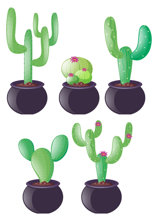 Different types of cactus in clay pots illustrationのイラスト素材
