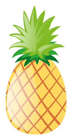 Fresh pineapple on white background illustrationのイラスト素材