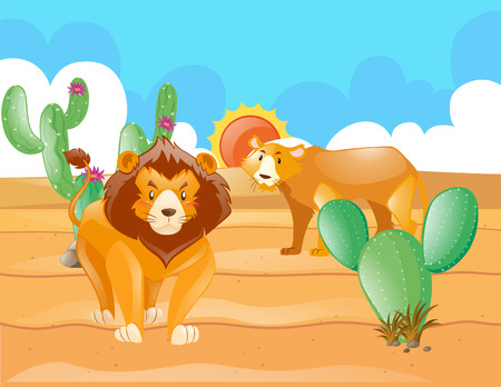 Wild lions in the desert illustrationのイラスト素材