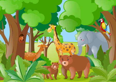 Wild animals in the forest illustrationのイラスト素材