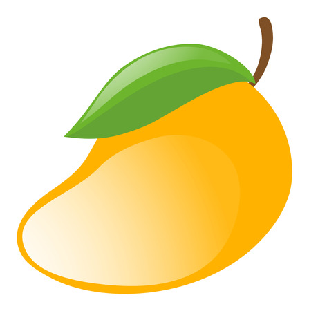 Fresh mango on white background illustrationのイラスト素材