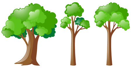Three types of tree illustrationのイラスト素材