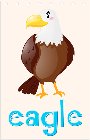 Wordcard with wild eagle illustrationのイラスト素材