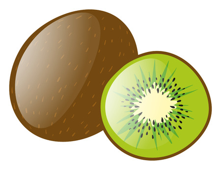 Fresh kiwi fruit on white background illustrationのイラスト素材