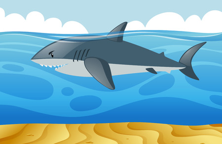 Wild shark swimming under the sea illustrationのイラスト素材