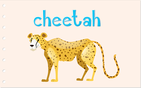 Animal wordcard with wild cheetah illustrationのイラスト素材