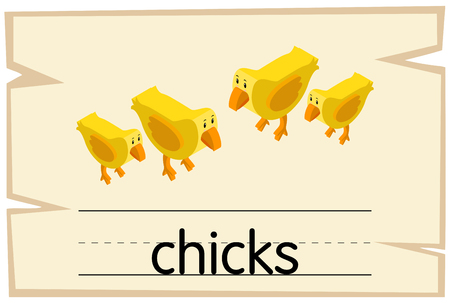 Wordcard design for word chicks illustrationのイラスト素材