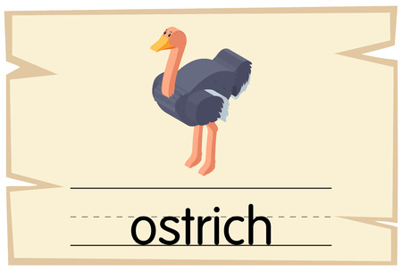 Wordcard template for ostrich illustrationのイラスト素材