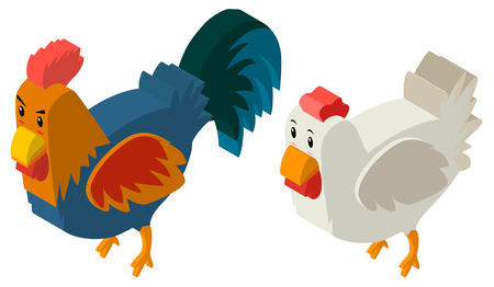 3D design for hen and rooster illustrationのイラスト素材