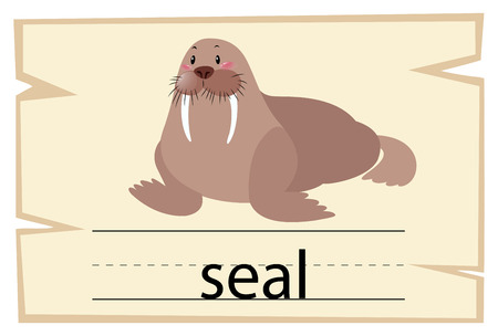 Wordcard for word seal illustrationのイラスト素材