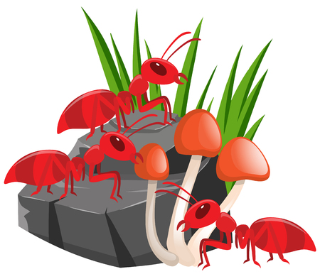 Three red ants on the rock illustrationのイラスト素材