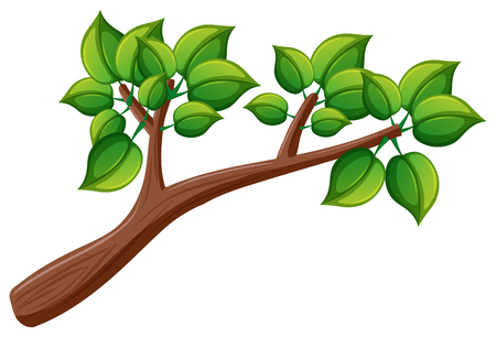 Branch with green leaves illustrationのイラスト素材
