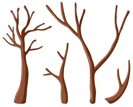 Different shapes of branches illustrationのイラスト素材