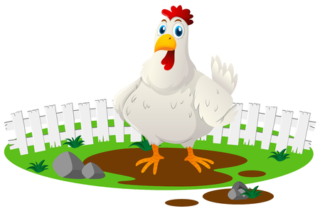 White chicken in the farm illustrationのイラスト素材