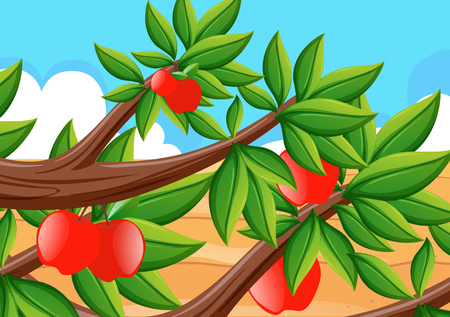 Red apples on the tree illustrationのイラスト素材
