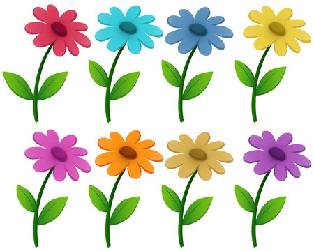 Flowers in eight different colors illustrationのイラスト素材