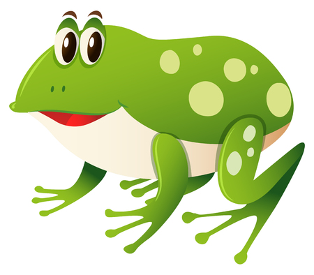 Happy frog on white background illustrationのイラスト素材