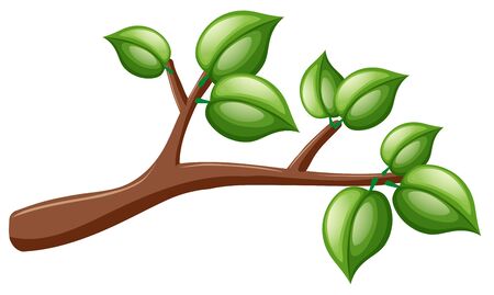 Tree branch with green leaves illustrationのイラスト素材