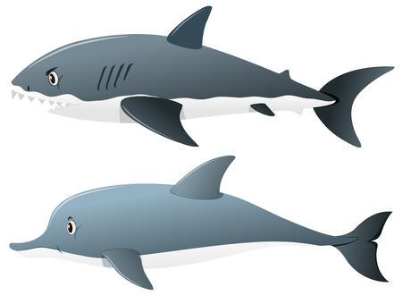 Gray shark and dolphin illustrationのイラスト素材