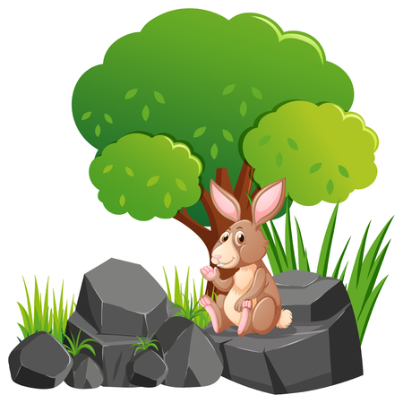 Brown rabbit on the rock illustrationのイラスト素材
