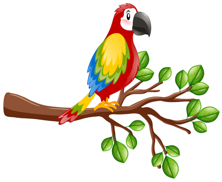 Parrot bird on the branch illustrationのイラスト素材