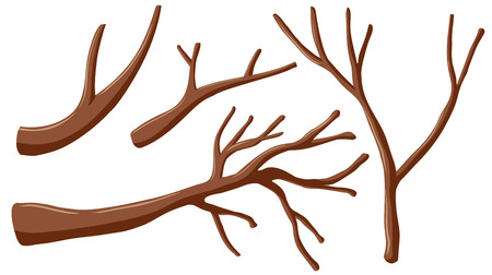 Different shapes of branches illustrationのイラスト素材