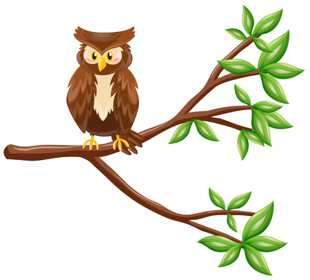 Cute owl standing on branch illustrationのイラスト素材