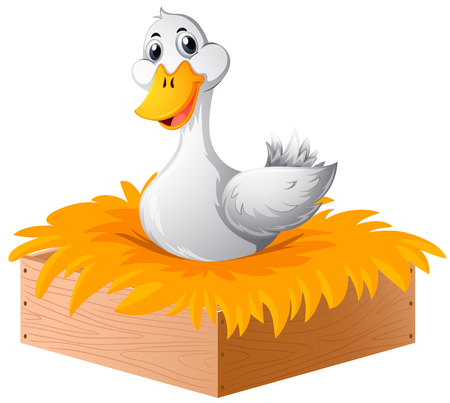 White duck in the nest illustrationのイラスト素材