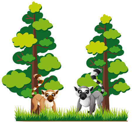 Two lemures in forest illustrationのイラスト素材