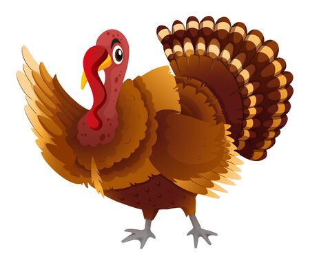 Wild turkey on white background illustrationのイラスト素材