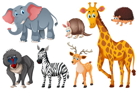 Many types of wild animals illustrationのイラスト素材
