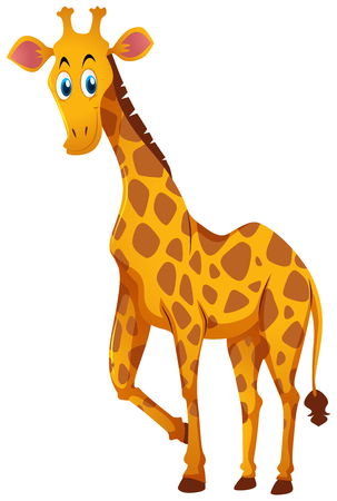 Cute giraffe standing on white background illustrationのイラスト素材