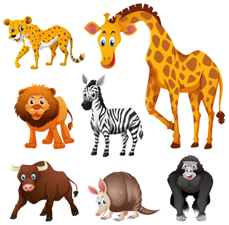 Different types of jungle animal illustrationのイラスト素材