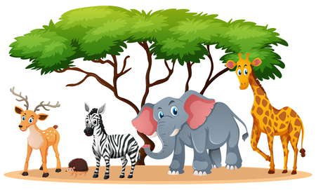 Animals in savanna field illustrationのイラスト素材