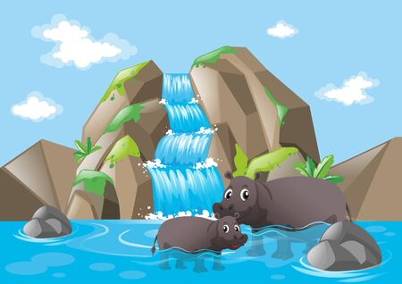 Two hippopotamuses in the waterfall illustrationのイラスト素材