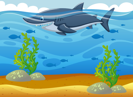 Wild shark swimming under the ocean illustrationのイラスト素材