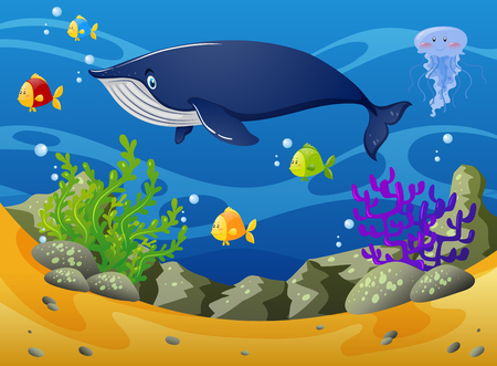 Whale and little fish under the sea illustrationのイラスト素材