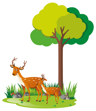 Mother deer and little fawn in forest illustrationのイラスト素材