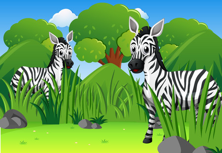 Two wild zebras in forest illustrationのイラスト素材