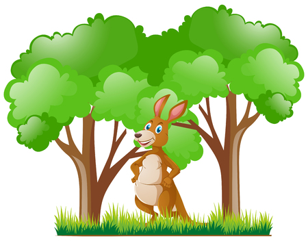 Kangaroo standing in forest illustrationのイラスト素材