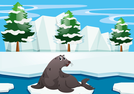 Seal sitting on iceberg illustrationのイラスト素材