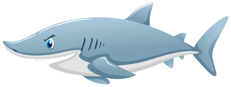 Wild shark illustrationのイラスト素材