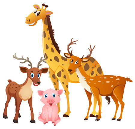 Cute animals on white background illustrationのイラスト素材