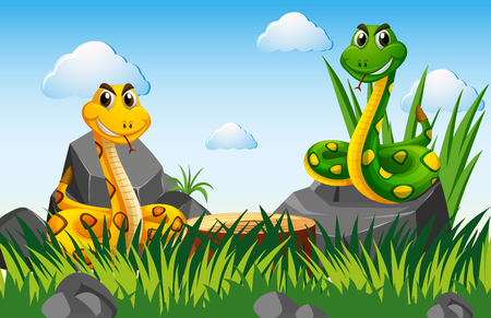 Two snakes in the garden illustrationのイラスト素材