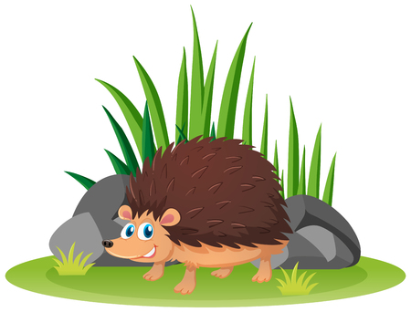 Cute hedgehog in garden illustrationのイラスト素材