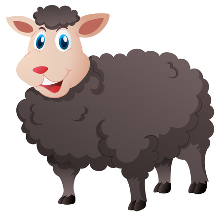 Cute black sheep on white background illustrationのイラスト素材
