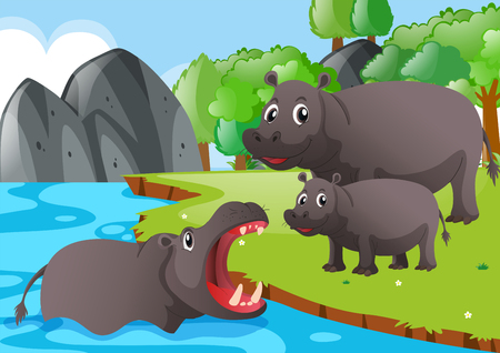 Hippo family in the river illustrationのイラスト素材